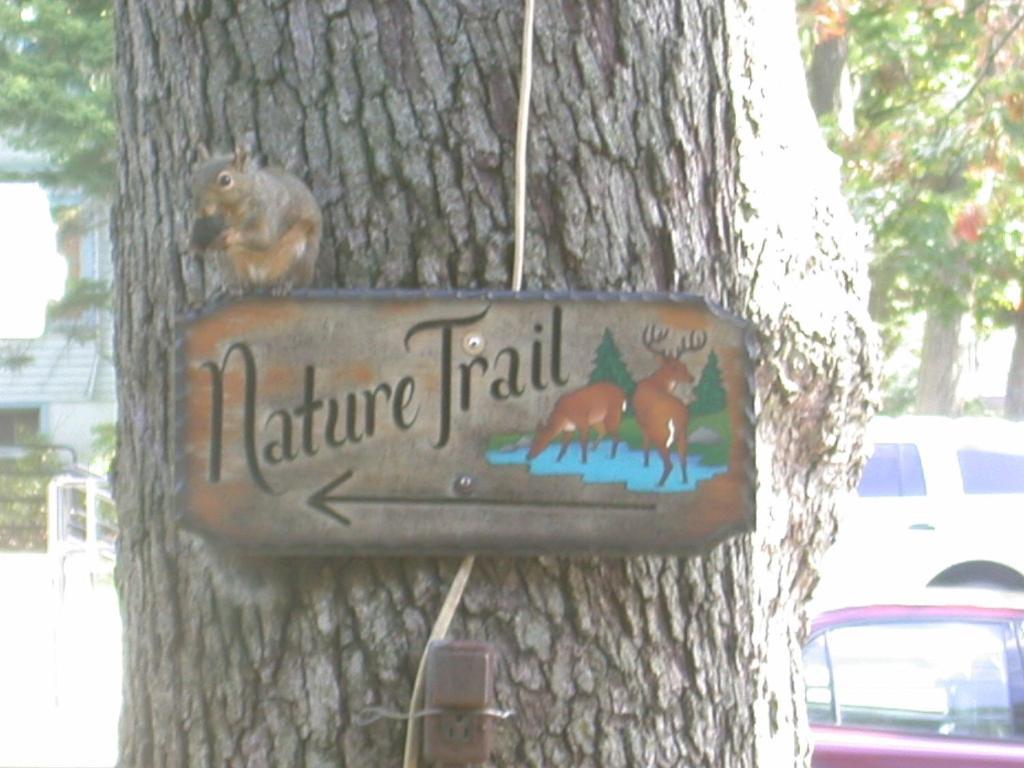 Indian Trail Motel Wisconsin Dells Bagian luar foto